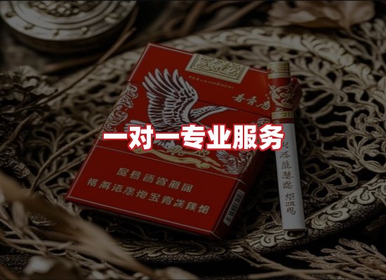 专业团队